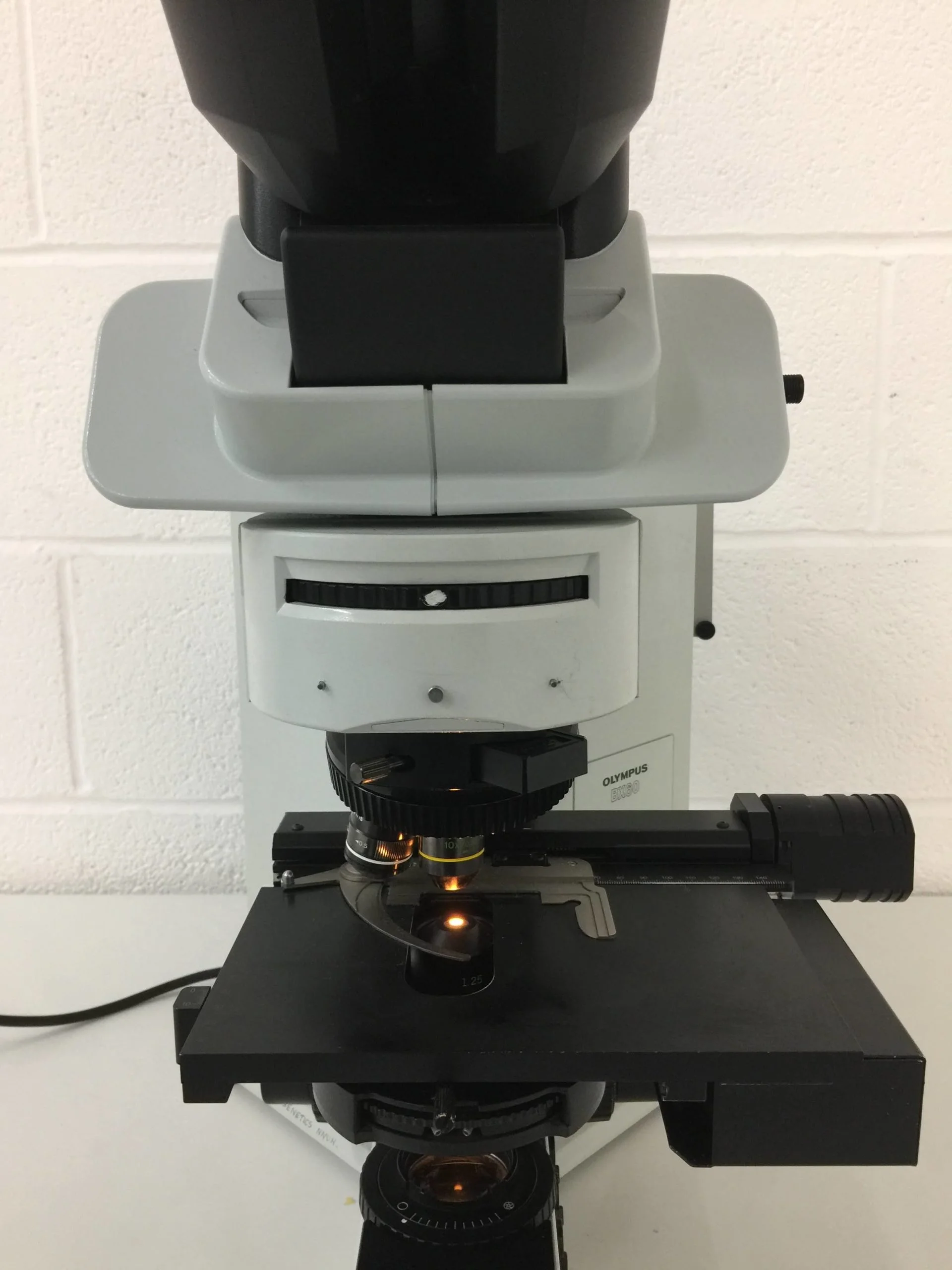 olympus bx60f5 fluorescence microscope with jenoptik progres mf camera