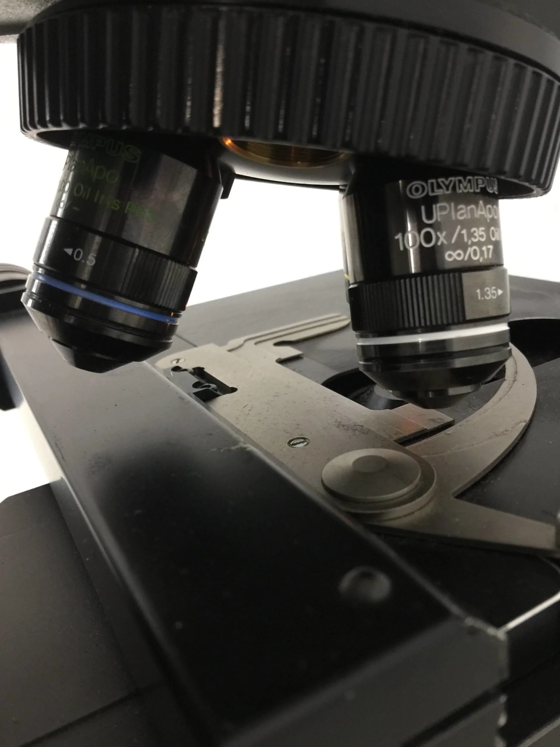 olympus bx60f5 fluorescence microscope with jenoptik progres mf camera