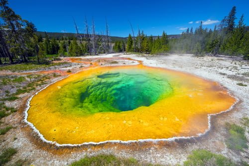 how a discovery in yellowstone national park led to the renowned technique of dna amplification, pcr