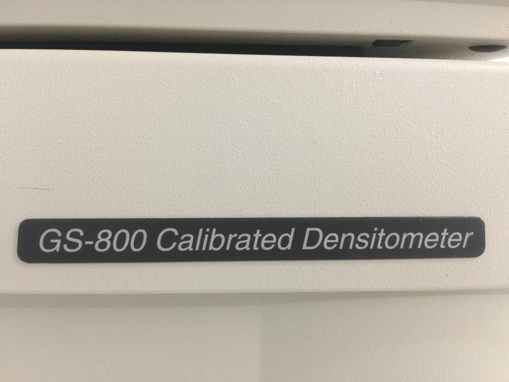 Bio-Rad GS-800 Calibrated Densitometer