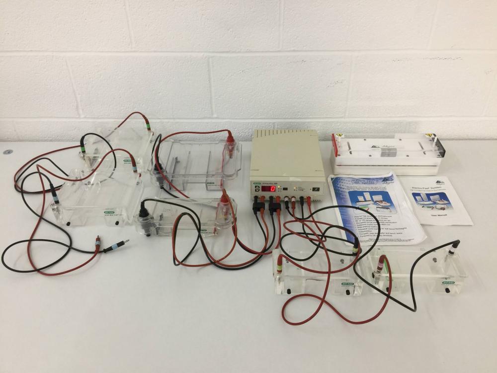 Gel Electrophoresis System with BioRad PowerPac 300, 7 BioRad SubCells and 1 Thermo ABgene Electro-fast Gel Unit.