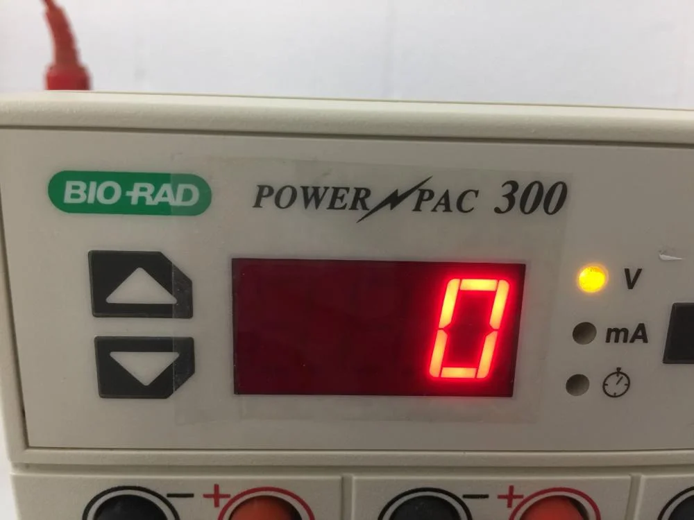 Gel Electrophoresis System with BioRad PowerPac 300, 7 BioRad SubCells and 1 Thermo ABgene Electro-fast Gel Unit.