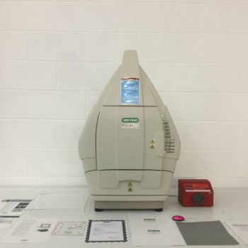 Bio-Rad Gel Doc XR+ Molecular Imager with peristaltic pump and accessories