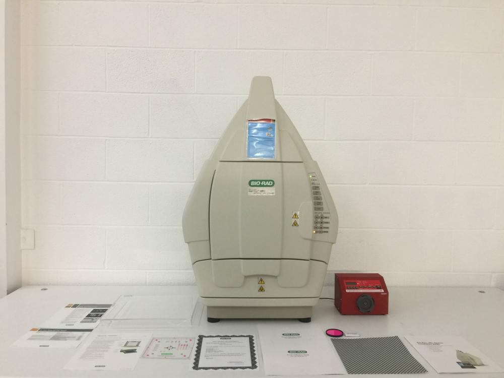 Bio-Rad Gel Doc XR+ Molecular Imager with peristaltic pump and accessories