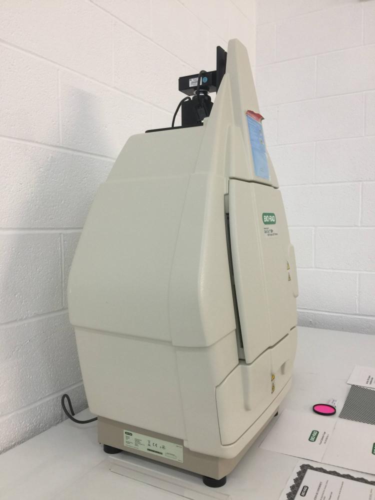 Bio-Rad Gel Doc XR+ Molecular Imager with peristaltic pump and accessories