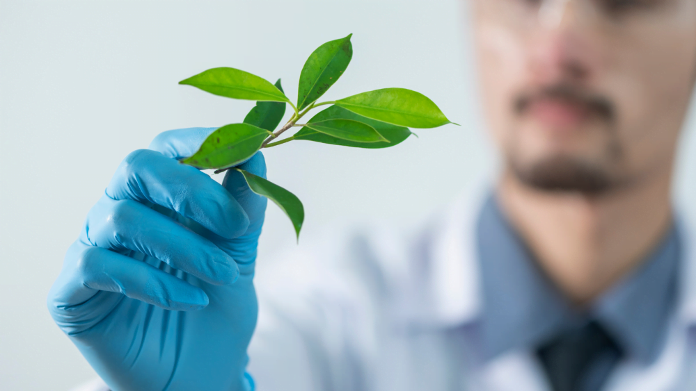 Environmentally friendly lab stock image