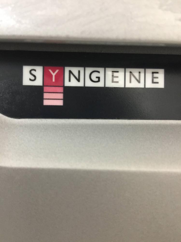 Syngene PXi 10