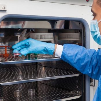 researcher introducing a petri dish into an incubator