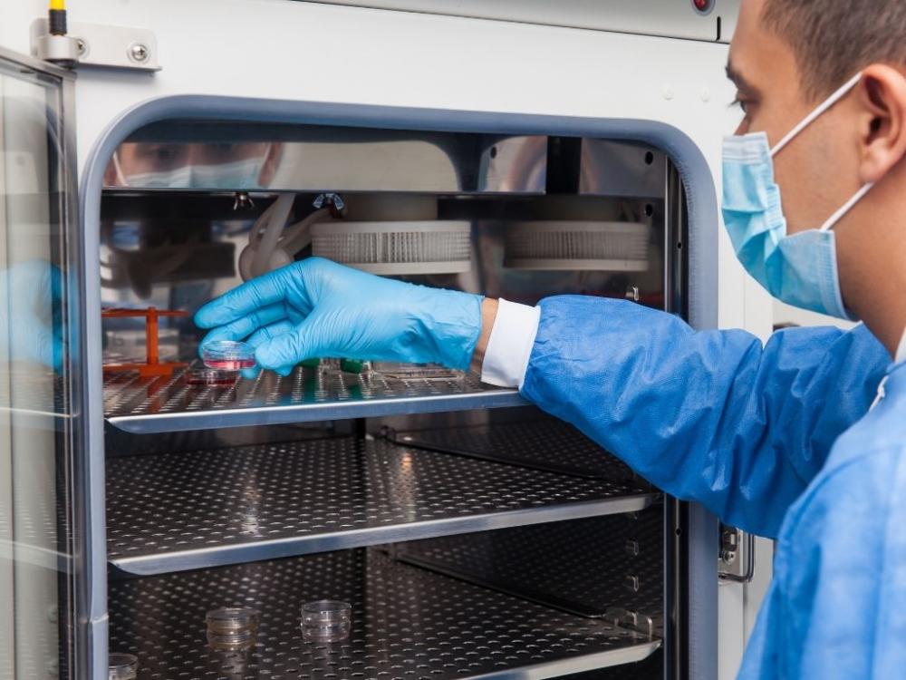 researcher introducing a petri dish into an incubator