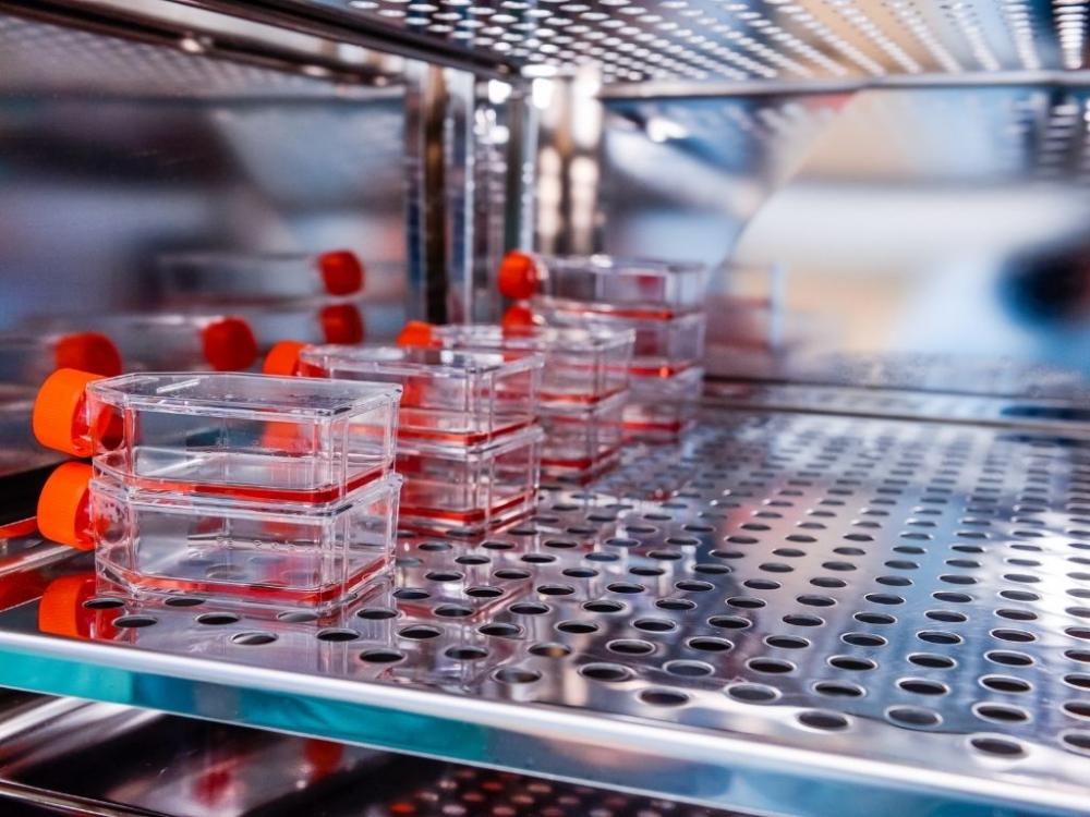 Reprogenetics research in the laboratory, Analyzes in containers in incubator. Selective focus