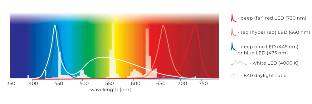 Pol-Eko Climate Chamber FIT phytotron light options