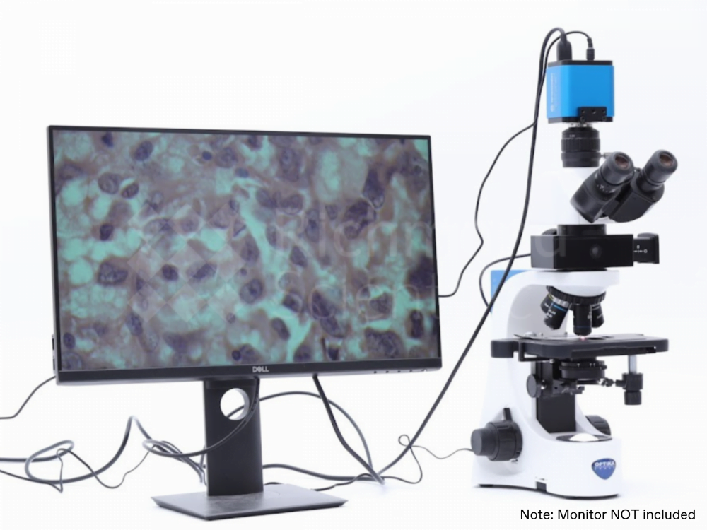 microscope with camera and monitor