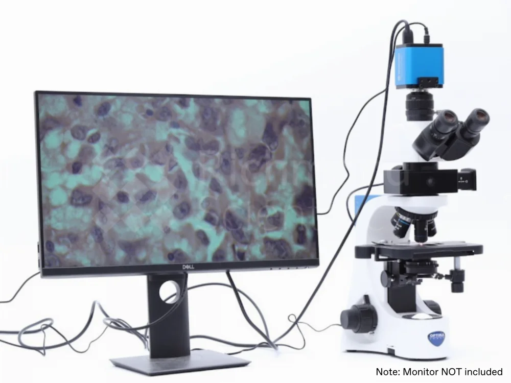 Optika 386 Microscope. Monitor not included