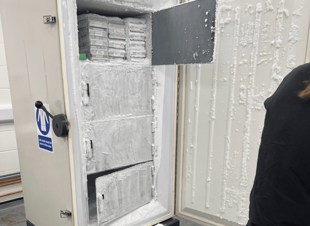 Inside of ULT freezer. Moving frozen samples from UK to Hungary