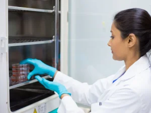 Scientist putting samples into a co2 incubator