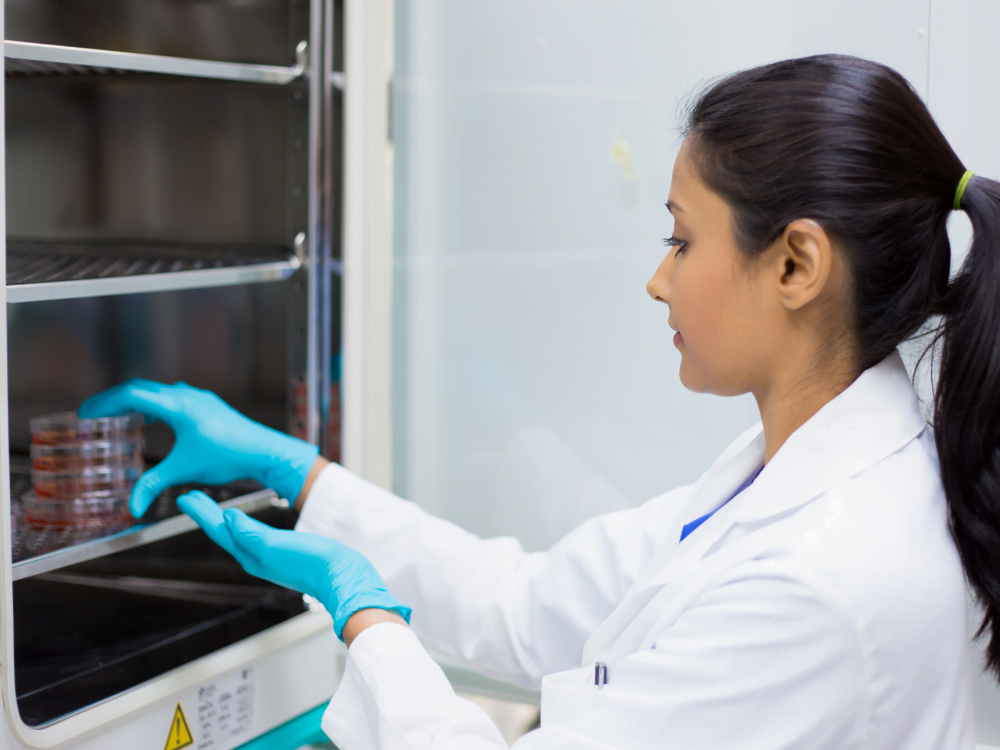 Scientist putting samples into an incubator