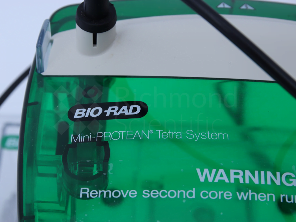 Bio Rad Mini Protean Tetra System 13