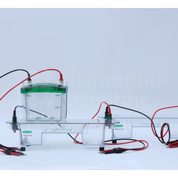 Bio Rad Mini Protean Tetra System 7