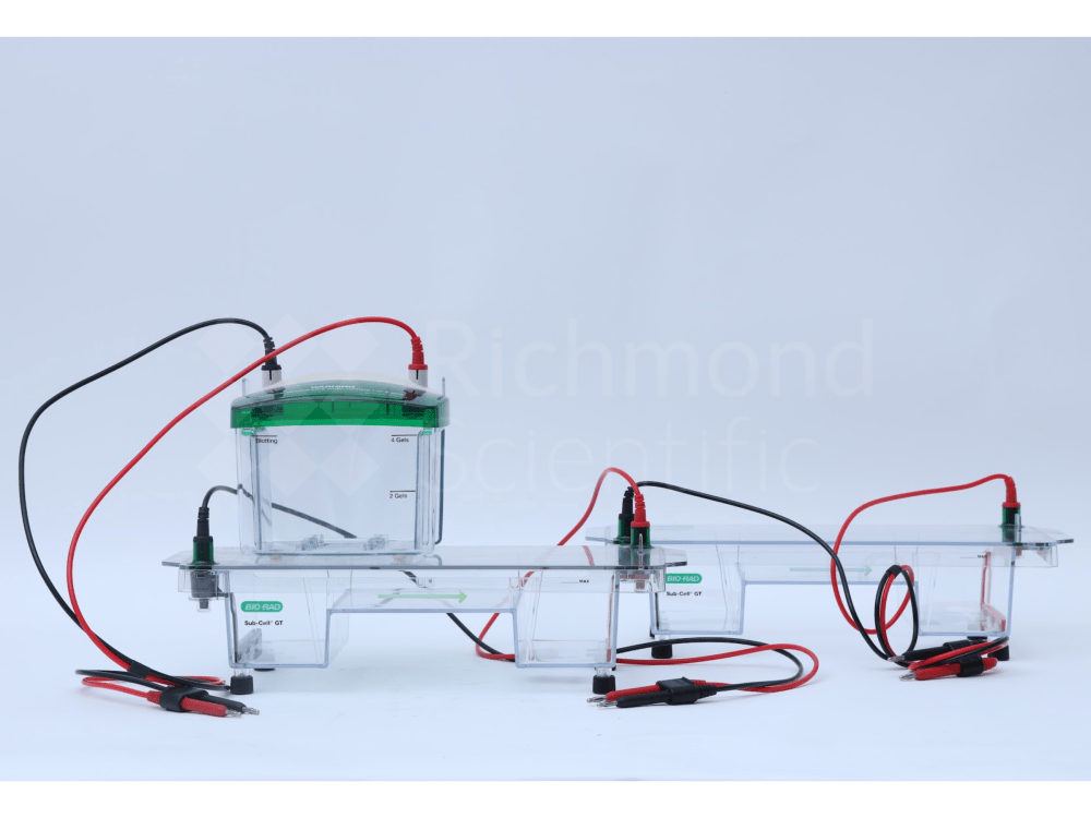 Bio Rad Mini Protean Tetra System 7