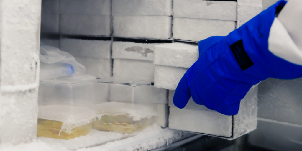 Keep lab freezer organised for efficiency