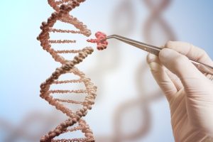 Precision Breeding Bill CRISPR