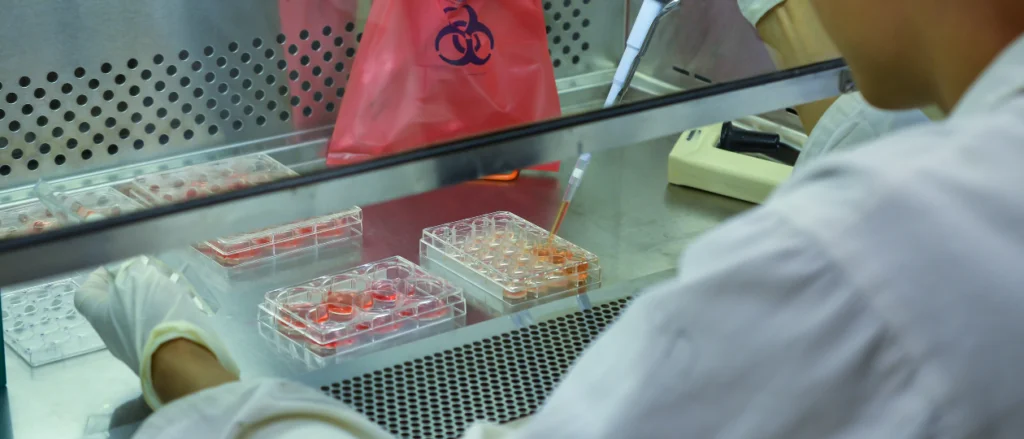 Biological samples in a safety cabinet