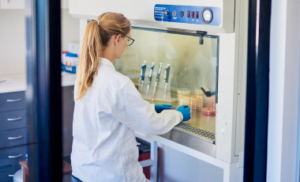 Scientist sitting working at a safety cabinet in a laboratory