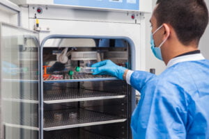 Scientist placing samples into a laboratory incubator