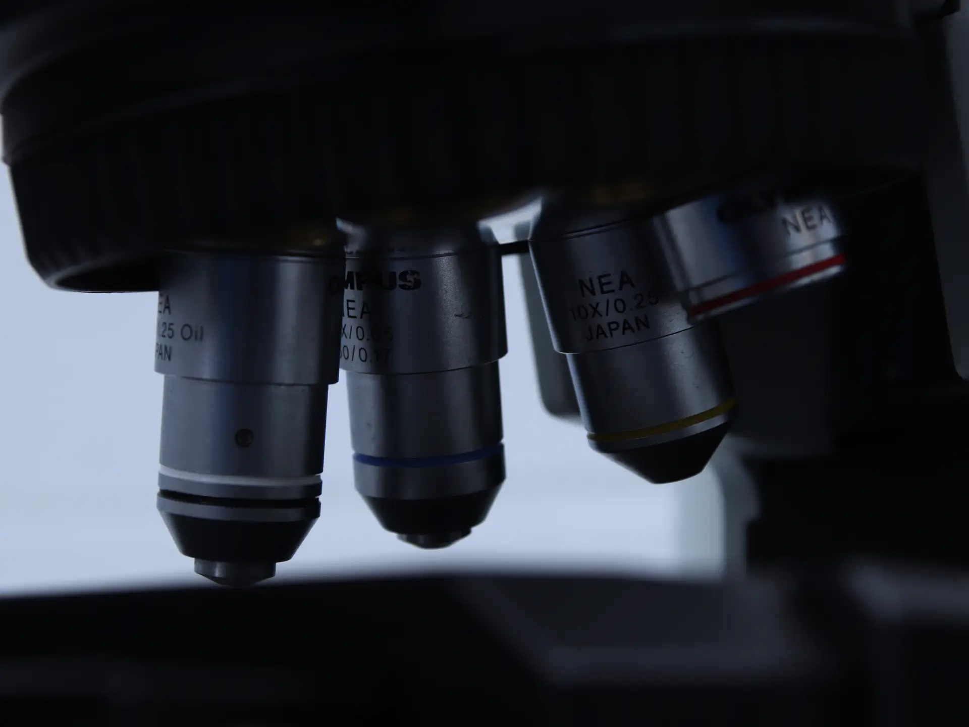 Olympus BX61 Microscope (3)