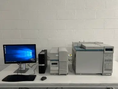 Agilent 6890N GC & 5973 Insert MSD