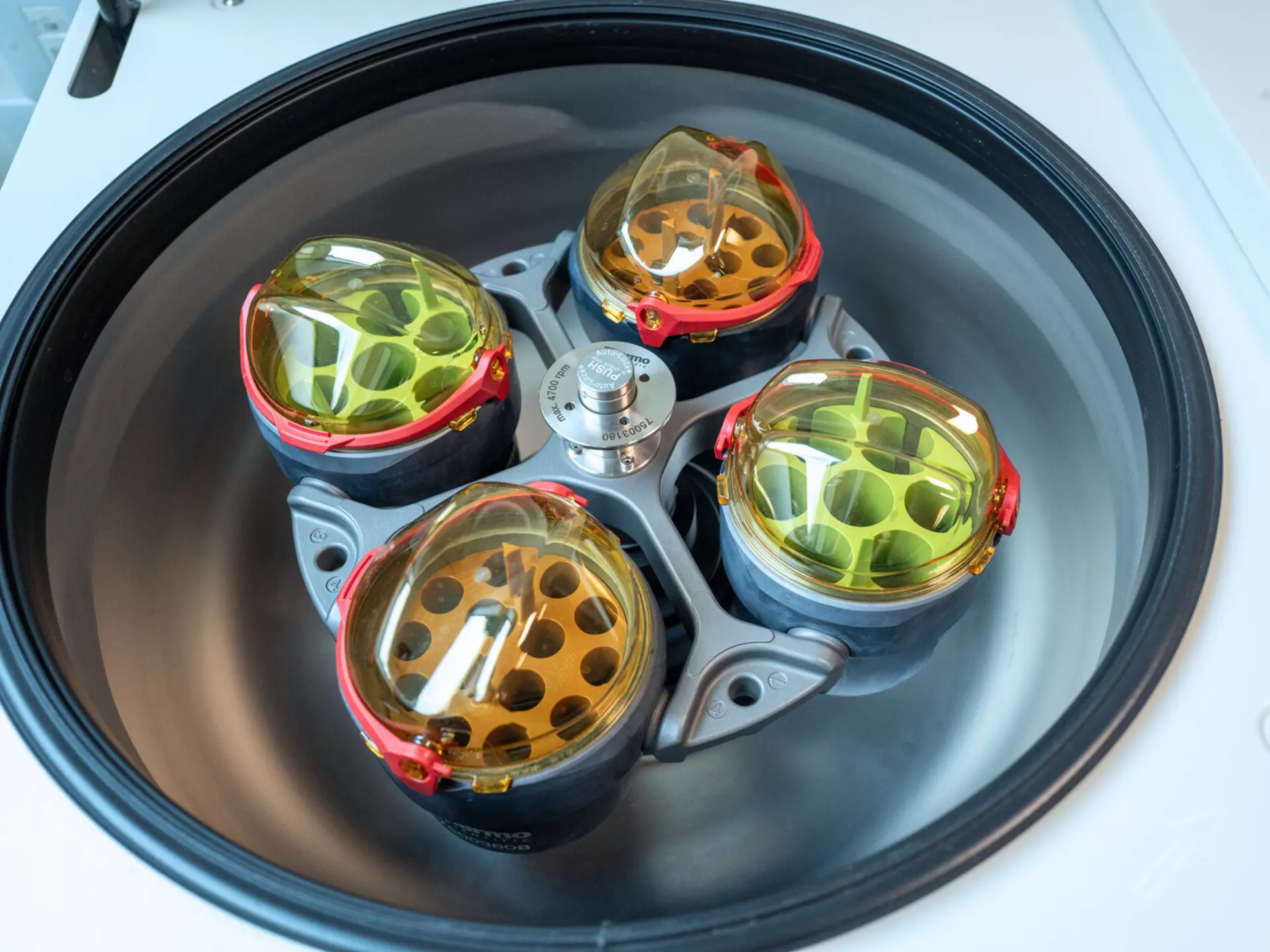Thermo Scientific Megafuge 40R Refrigerated Centrifuge