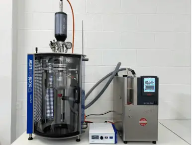 Buchi Glasuster Reactor System
