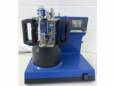 IKA LR 1000 Control System